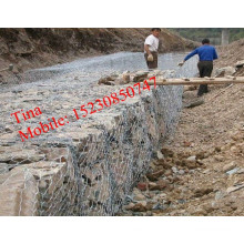 FOB15.8 $ / Set PVC Gabion Korb / Hot Dipped Galvanisierte Gabion Korb (XM-5)